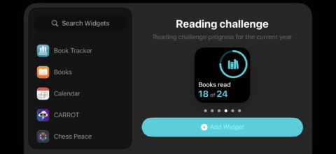 StandBy editing widgets